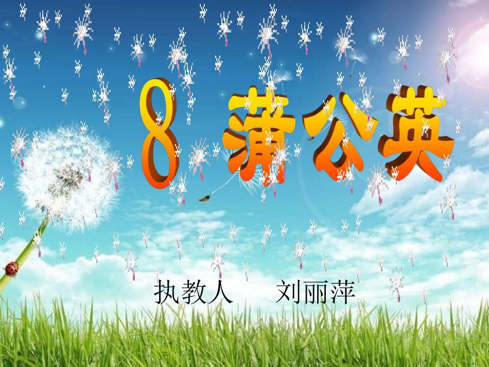 蒲公英课件 (6)_第2页
