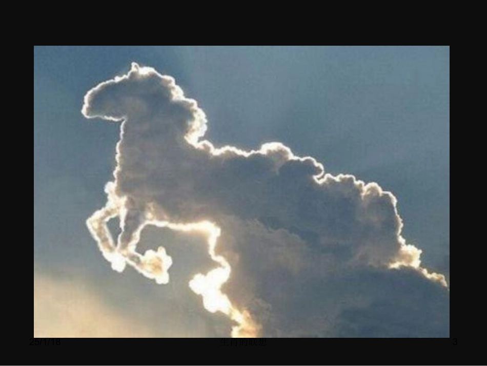 七年级美术134生肖的联想_第3页