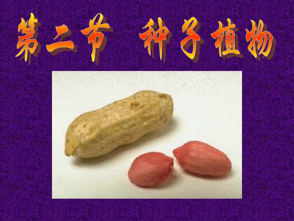 种子植物(7)_第1页