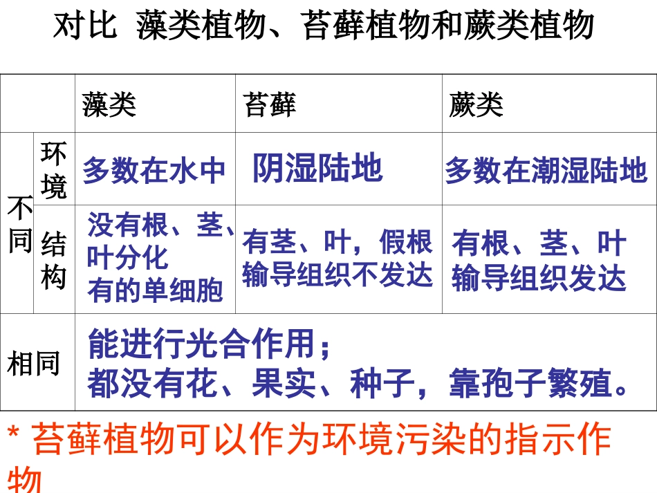 种子植物(7)_第3页