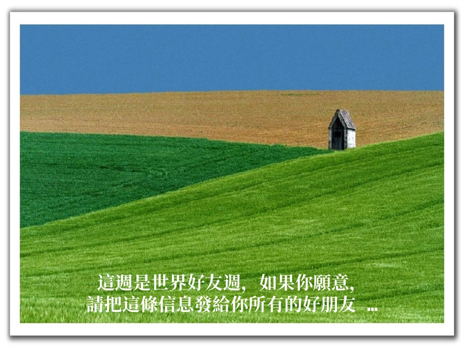 世界好友周礼物_第2页