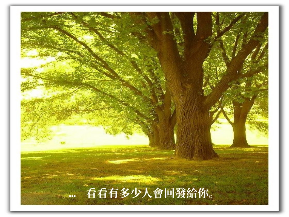 世界好友周礼物_第3页