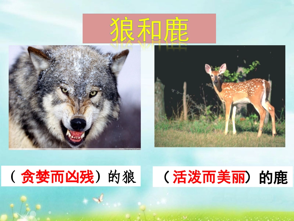鹿和狼的故事课件 (2)_第2页