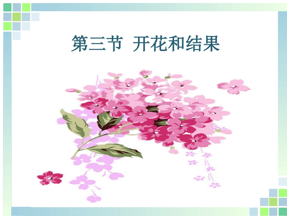 七年级开花和结果_第1页