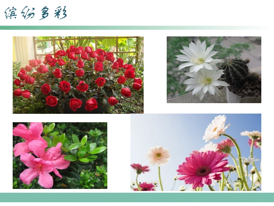 七年级开花和结果_第3页
