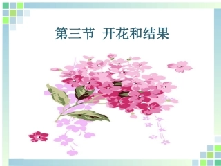 七年级开花和结果
