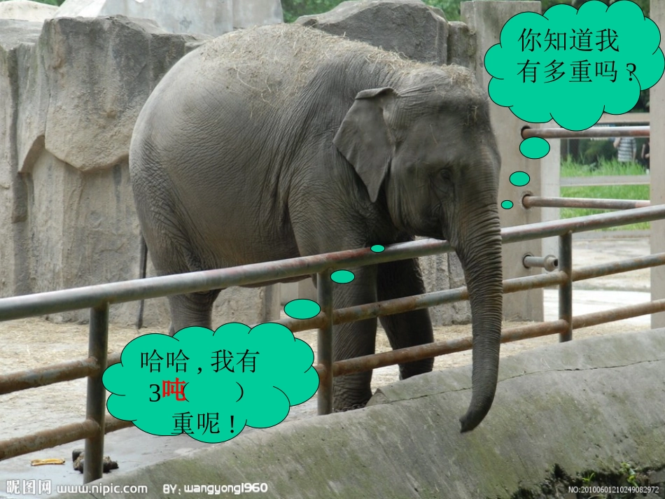 一吨有多重课件_(1)_第3页