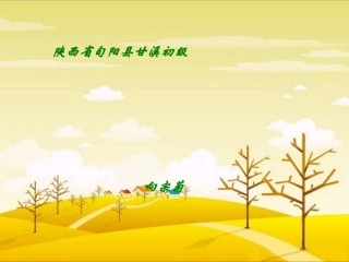 意笔花鸟画课件