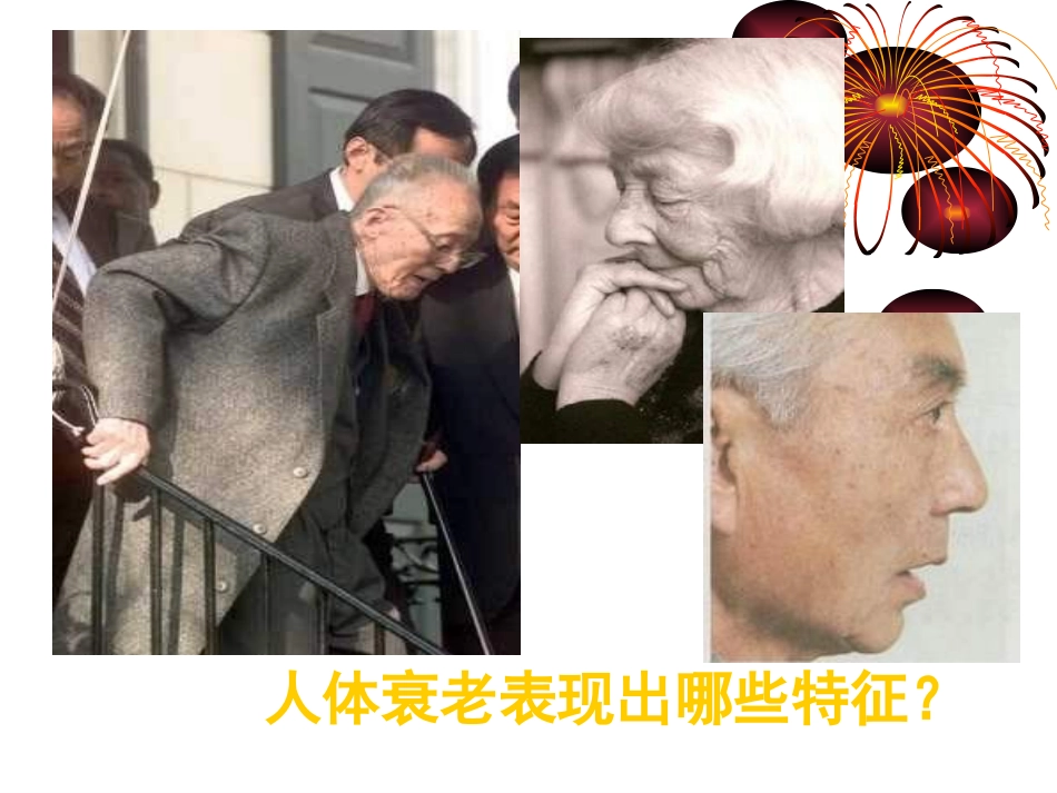 生物：63《细胞的衰老、凋亡与癌变》精品课件（新人教版必修1）（共60张PPT）_第3页
