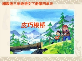三年级语文下册-皮巧根桥课件-湘教版