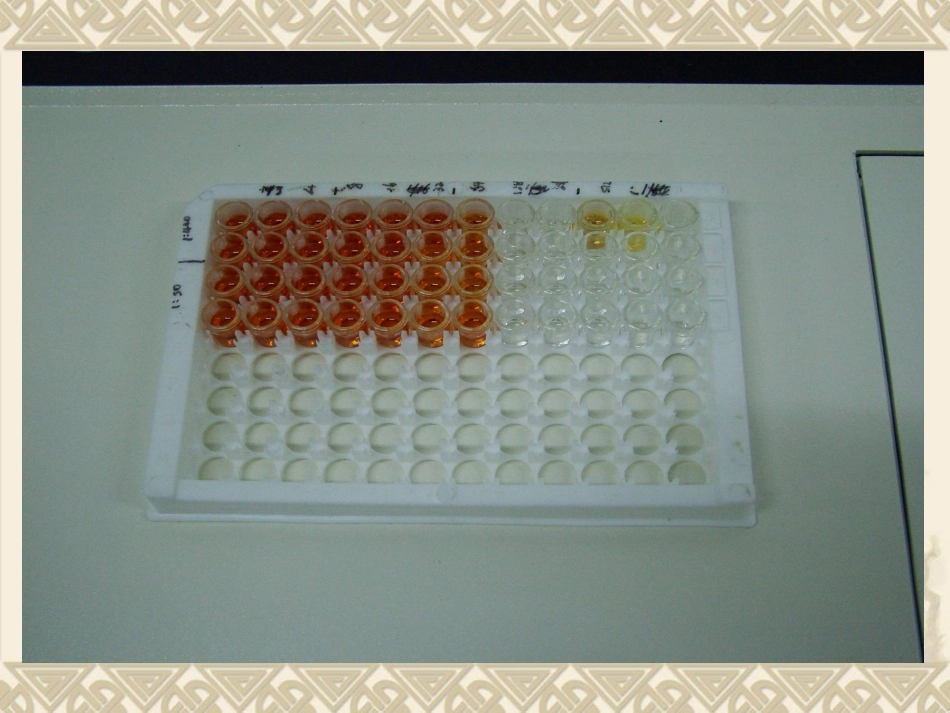 酶标仪使用方法_第2页