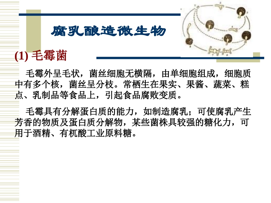 课题2腐乳的制作_第3页