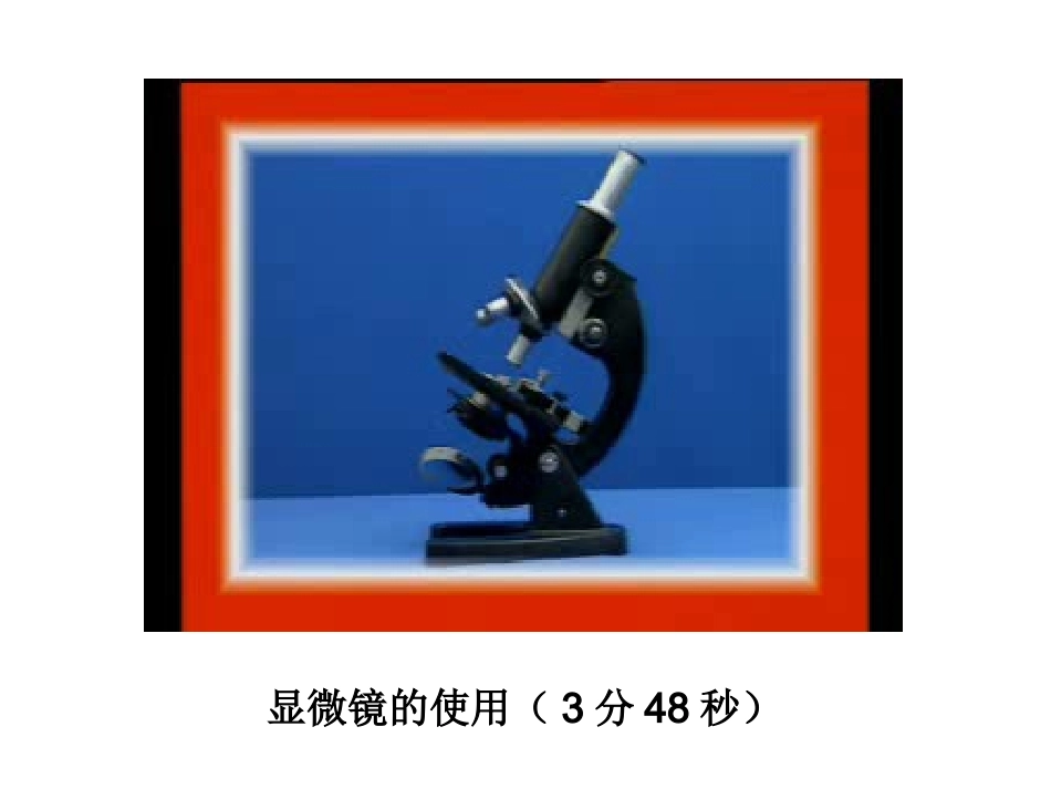 六下一6用显微镜观察身边的生命世界二 (2)_第2页