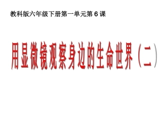 六下一6用显微镜观察身边的生命世界二 (2)