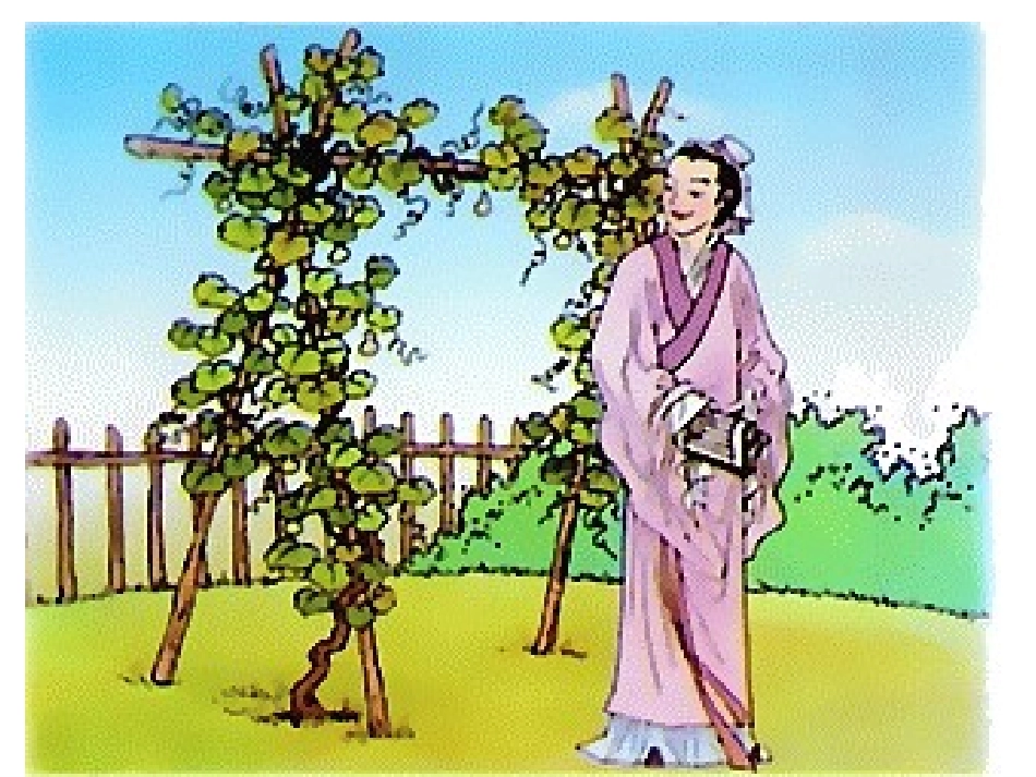 我要的是葫芦2_第3页