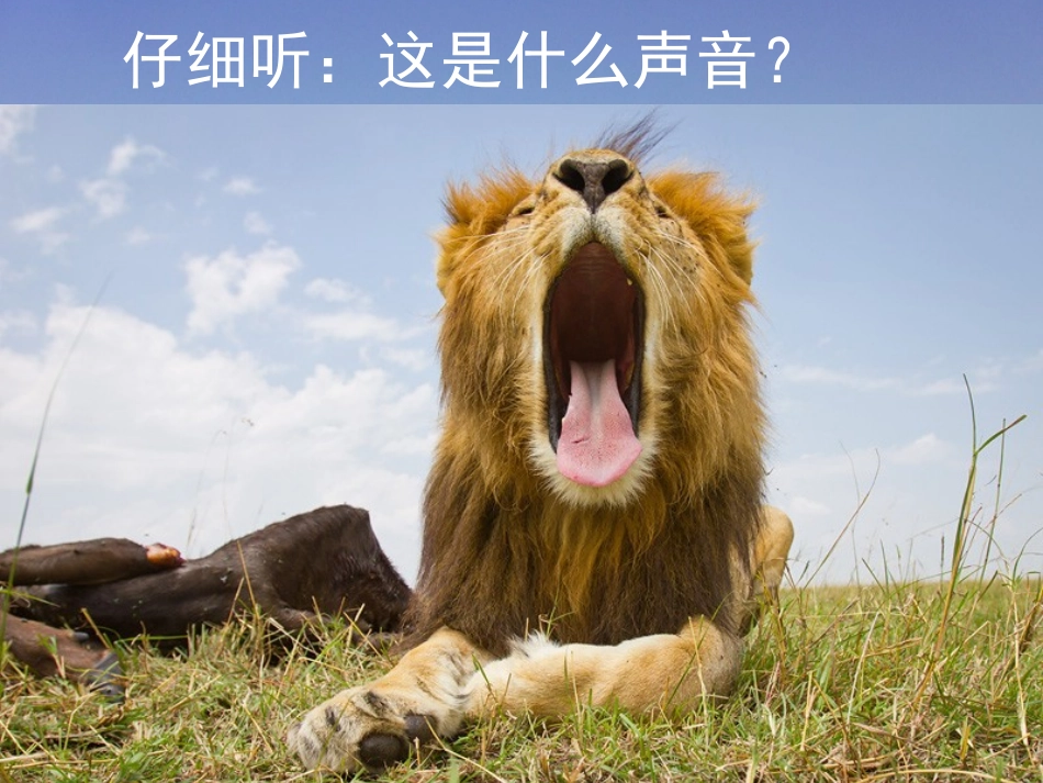 狮子大王课件_第3页