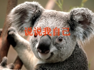 三年级作文_说说我自己