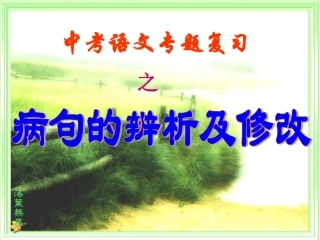 中考语文复习课件 病句的辨析及修改