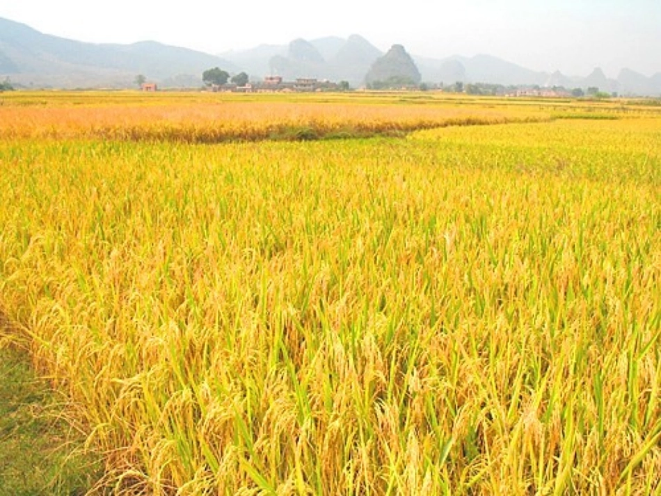 秋游去于忠杰_第2页