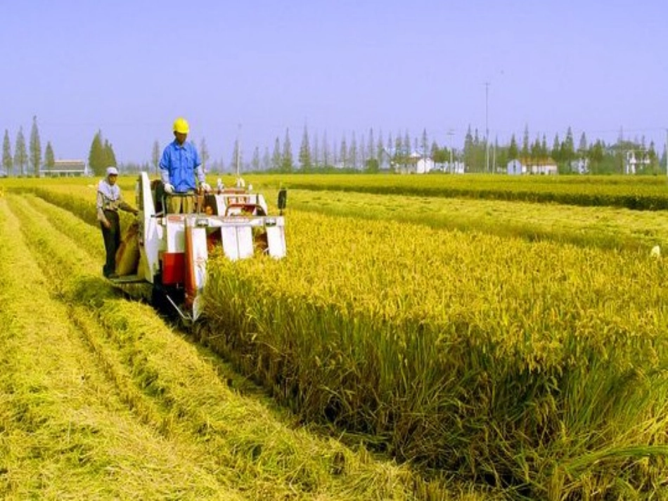 秋游去于忠杰_第3页