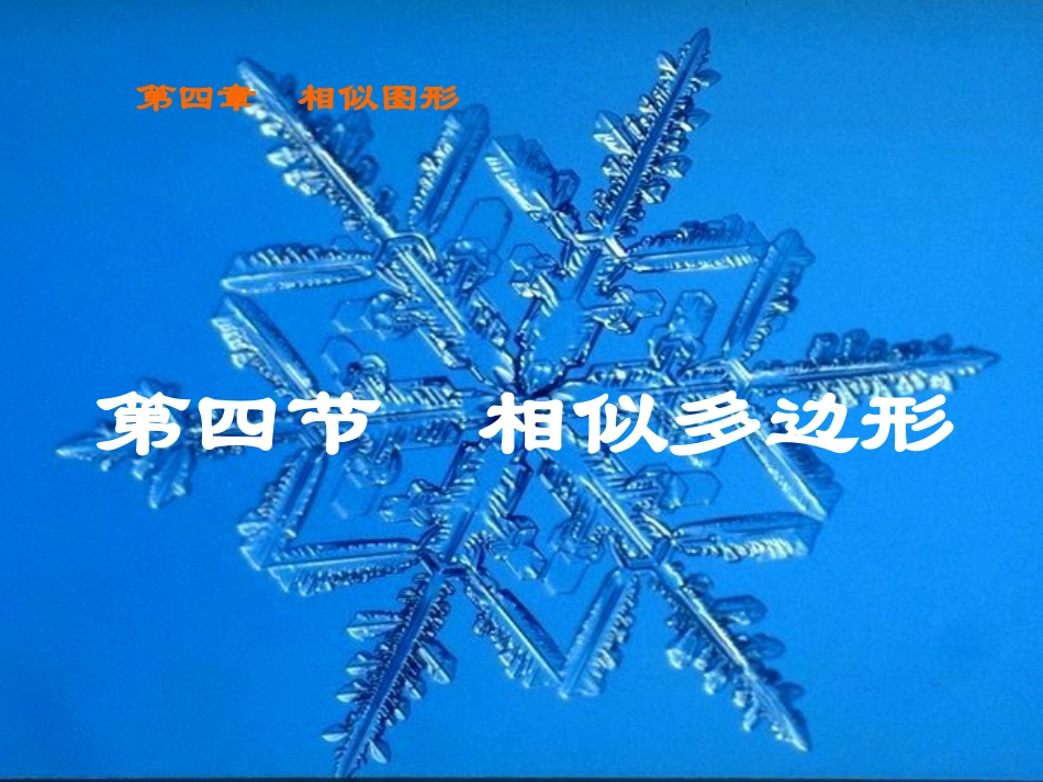 相似多边形1_第1页