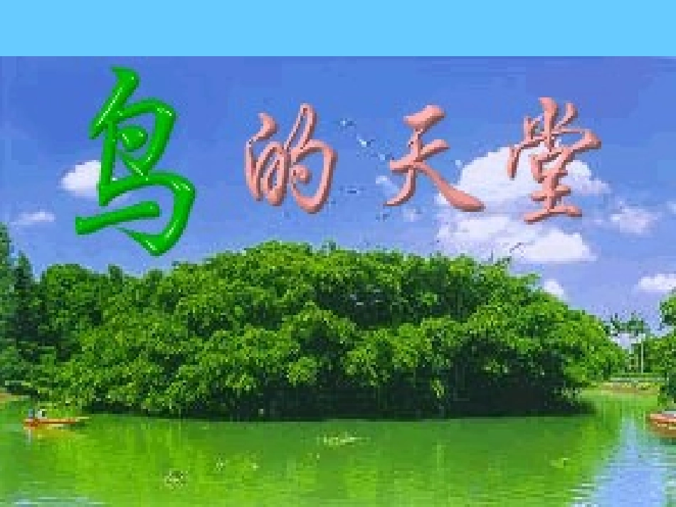 鸟的天堂 (4)_第2页