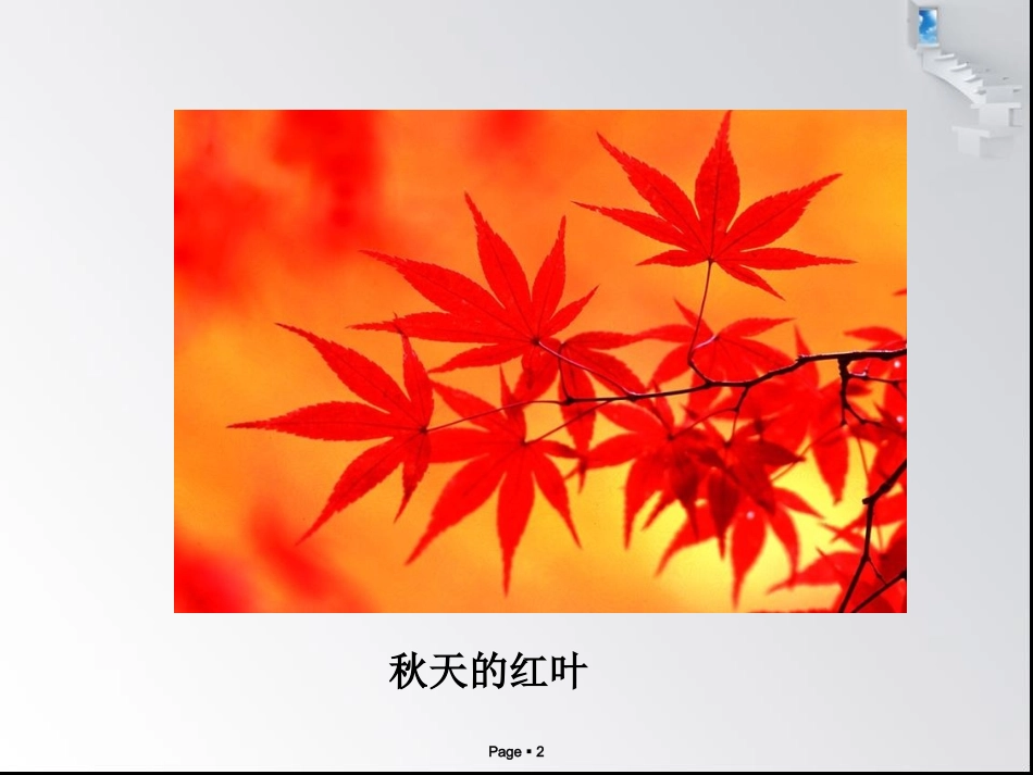 三年级上册语文——11秋天的雨_第2页