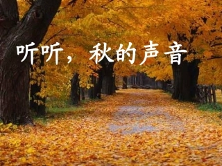 三年级上语文课件-听听秋的声音-人教版 (2)