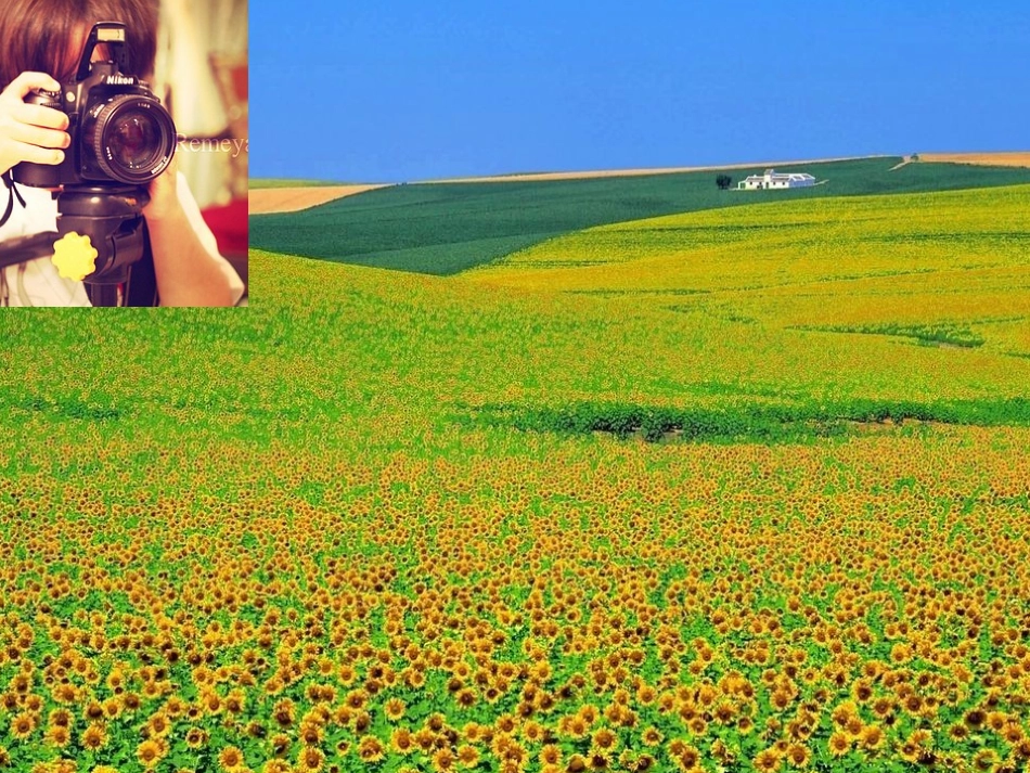 凸透镜成像规律_第3页