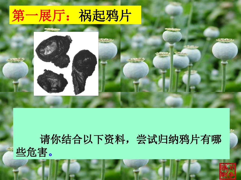 鸦片战争 (6)_第2页