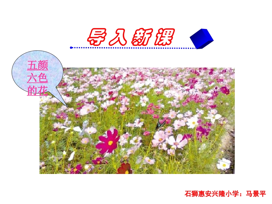 三年级上册语文——13花钟_第1页