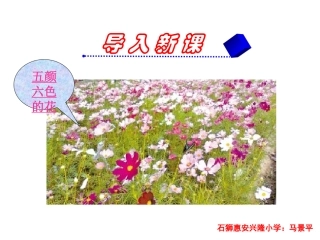 三年级上册语文——13花钟