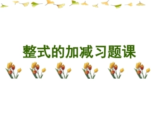 整式的加减习题