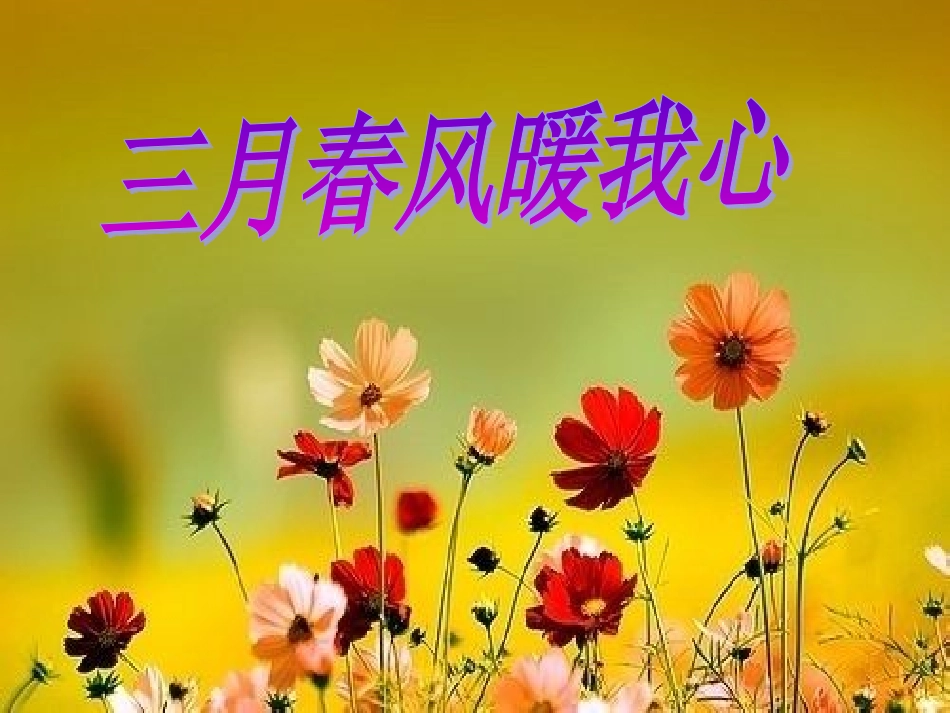 三月春风(1)_第1页