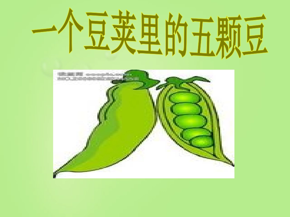 一个豆荚里的五粒豆_第1页