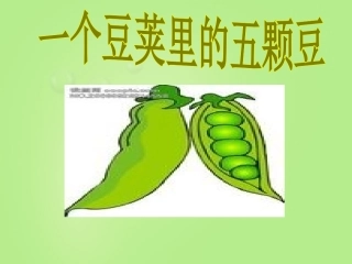 一个豆荚里的五粒豆