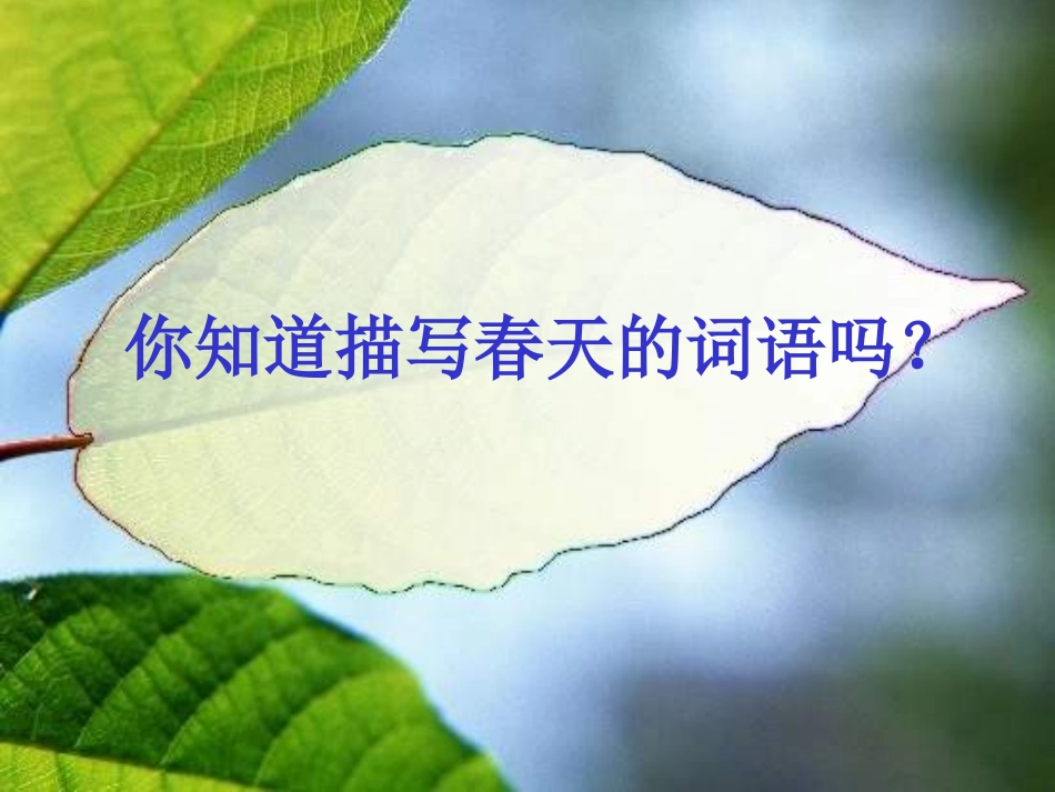 一年级语文下册教案_《春雨的色彩》_第2页