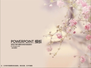 我喜欢的模板
