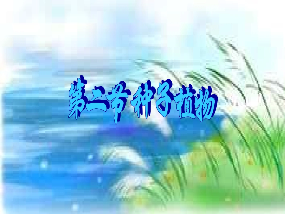 种子植物(3)_第3页