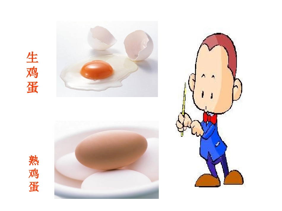 三年级下科学课件-认识固体1-苏教版_第3页