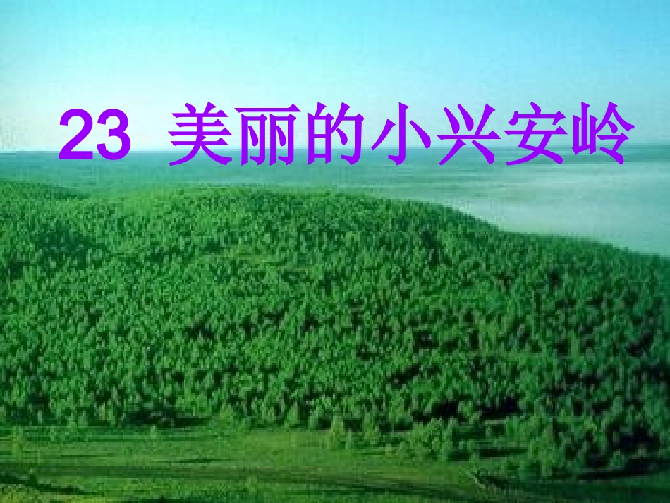 美丽的小兴安岭课件_第1页