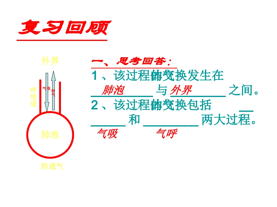 七年级生物下册_人体内的气体交换_课件_苏教版_第2页