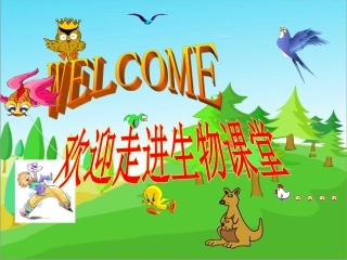 七年级生物下册_人体内的气体交换_课件_苏教版