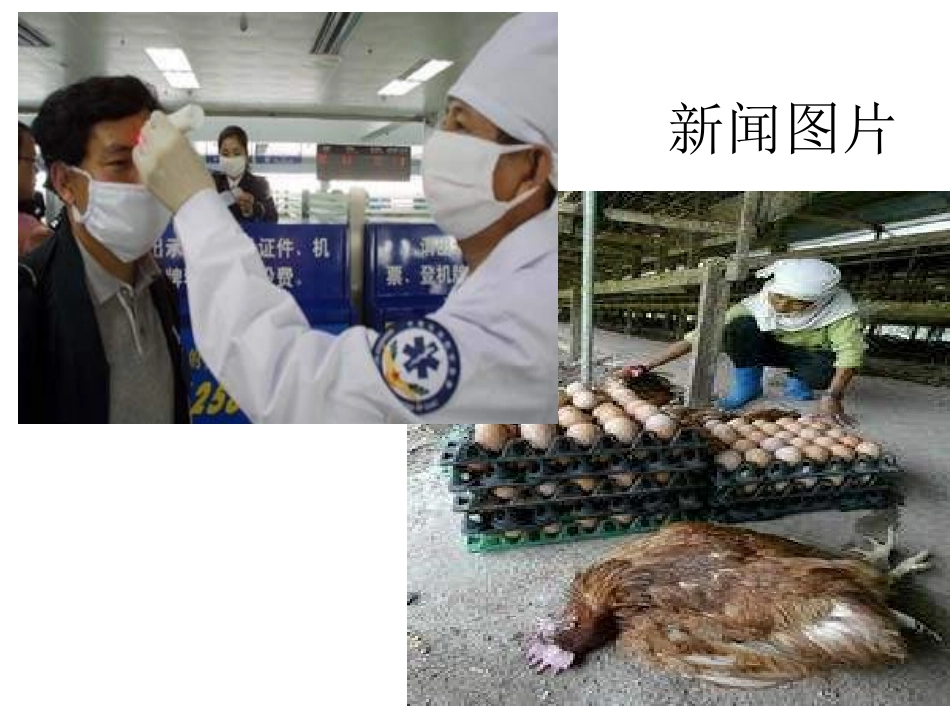 七年级生物传染病及其预防_第2页