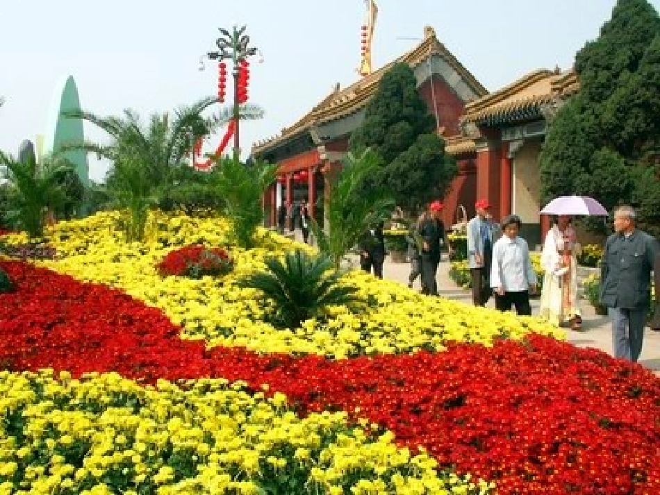 一年级上册《看菊花》课件（闫敏）_第3页