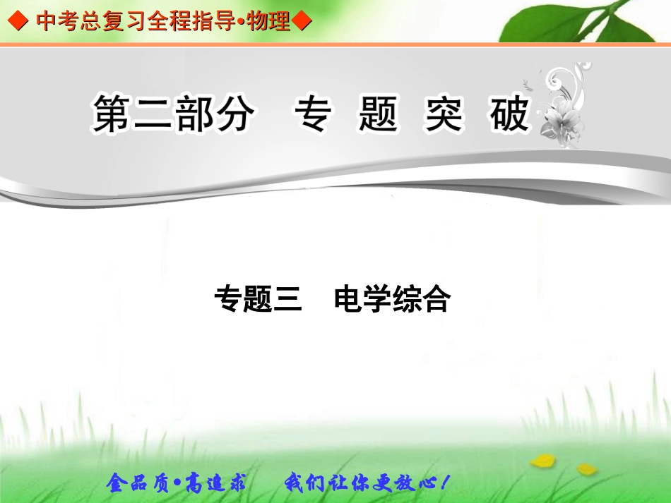 中考总复习专题突破专题三电学综合_第1页