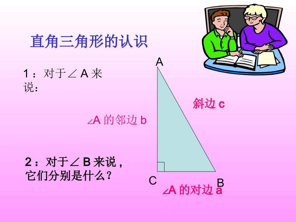 锐角三角函数1 (3)_第2页