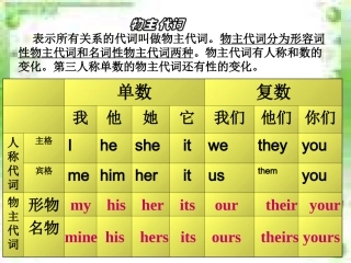 物主代词课件