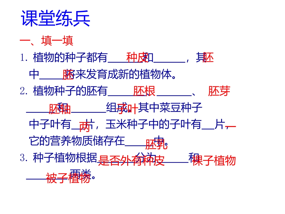 种子植物归纳_第3页