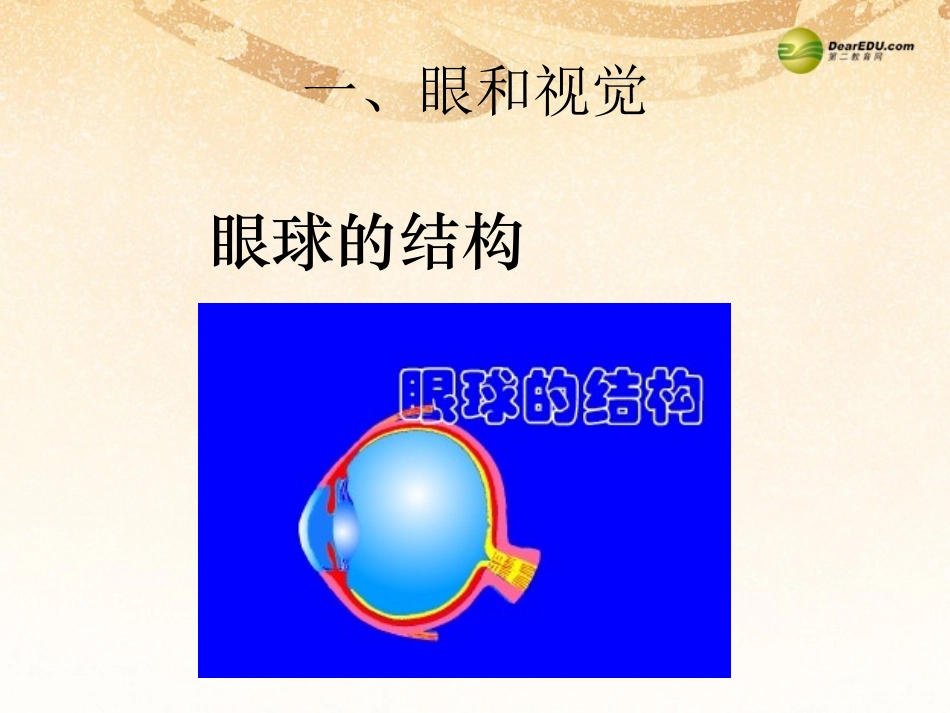 人体生命活动的调节复习课件_第1页